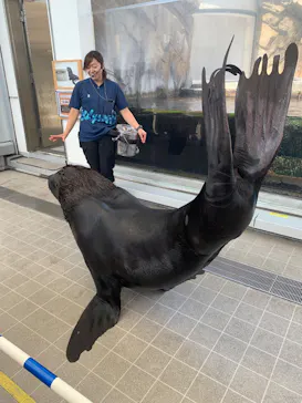 仙台うみの杜水族館に投稿された画像（2025/8/14）