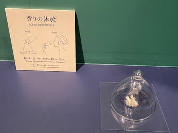 正倉院 THE SHOW －感じる。いま、ここにある奇跡－に投稿された画像（2025/8/14）