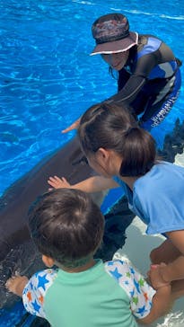 南知多ビーチランド＆南知多おもちゃ王国に投稿された画像（2025/8/14）