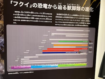 福井県立恐竜博物館に投稿された画像（2025/8/14）