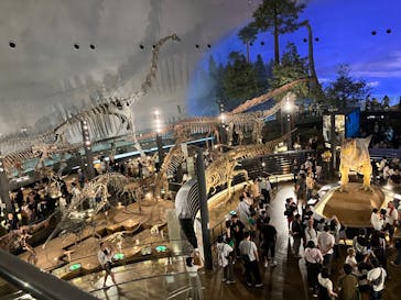 福井県立恐竜博物館に投稿された画像（2025/8/14）