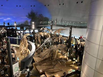 福井県立恐竜博物館に投稿された画像（2025/8/14）