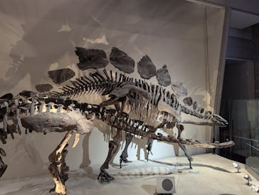 国立科学博物館に投稿された画像（2025/8/14）