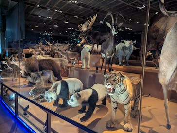 国立科学博物館に投稿された画像（2025/8/14）