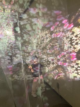 旅する光の切り絵展 ～くうそうって、まほうだよ～に投稿された画像（2025/8/14）