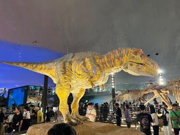 福井県立恐竜博物館に投稿された画像（2025/8/14）