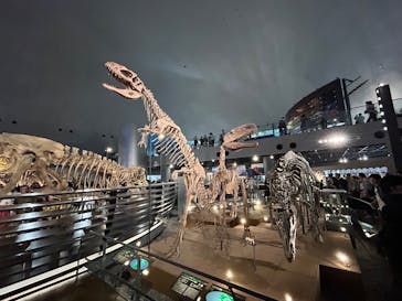 福井県立恐竜博物館に投稿された画像（2025/8/14）