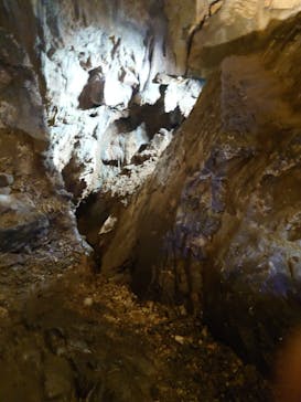 秋芳洞に投稿された画像（2025/8/14）