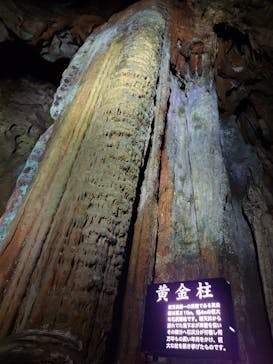 秋芳洞に投稿された画像（2025/8/14）