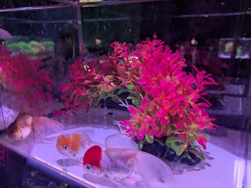 南知多ビーチランド＆南知多おもちゃ王国に投稿された画像（2025/8/14）