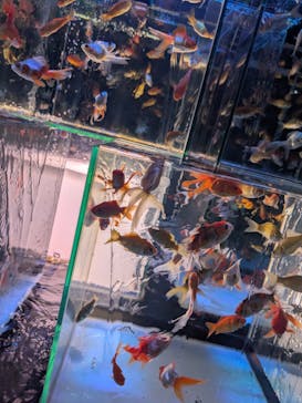 南知多ビーチランド＆南知多おもちゃ王国に投稿された画像（2025/8/14）