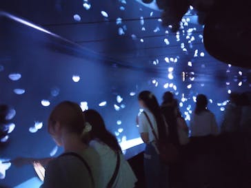 サンシャイン水族館に投稿された画像（2025/8/14）