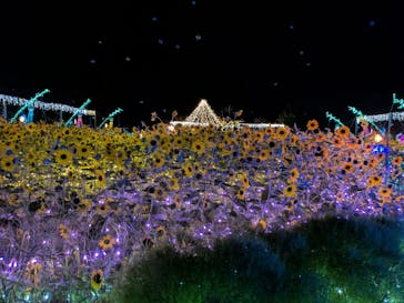 せんだい農業園芸センター　みどりの杜に投稿された画像（2025/8/14）