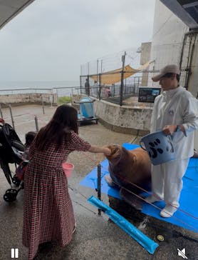 大分マリーンパレス水族館 「うみたまご」に投稿された画像（2025/8/14）