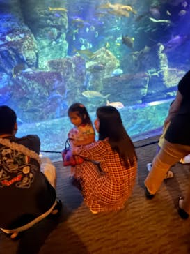 大分マリーンパレス水族館 「うみたまご」に投稿された画像（2025/8/14）