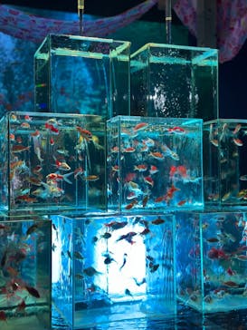 南知多ビーチランド＆南知多おもちゃ王国に投稿された画像（2025/8/14）