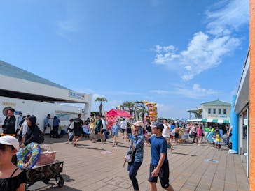 蓮沼ウォーターガーデンに投稿された画像（2025/8/14）