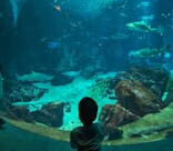 海の中道サンシャインプールに投稿された画像（2025/8/14）