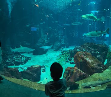 海の中道サンシャインプールに投稿された画像（2025/8/14）