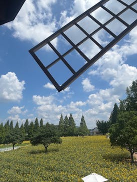 世羅高原農場に投稿された画像（2025/8/14）