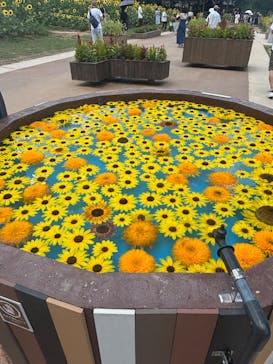 世羅高原農場に投稿された画像（2025/8/14）