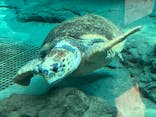 名古屋港水族館に投稿された画像（2025/8/14）