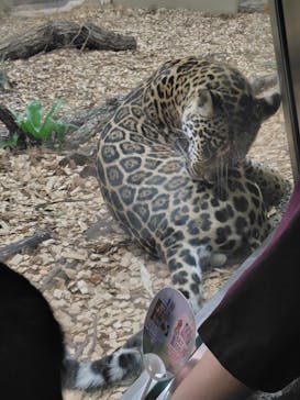 名古屋市東山動植物園に投稿された画像（2025/8/14）