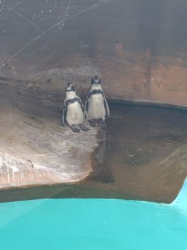 名古屋市東山動植物園に投稿された画像（2025/8/14）