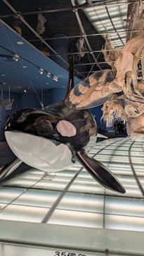 名古屋港水族館に投稿された画像（2025/8/14）