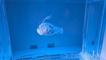 名古屋港水族館に投稿された画像（2025/8/14）