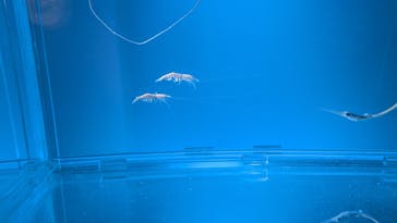 名古屋港水族館に投稿された画像（2025/8/14）