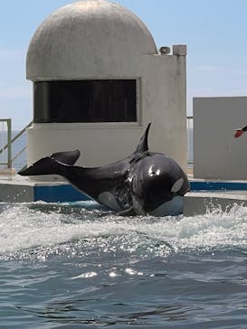 鴨川シーワールドに投稿された画像（2025/8/14）