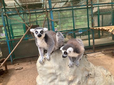 東北サファリパークに投稿された画像（2025/8/14）