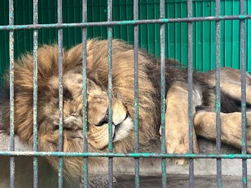 東北サファリパークに投稿された画像（2025/8/14）