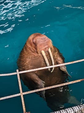 大分マリーンパレス水族館 「うみたまご」に投稿された画像（2025/8/14）