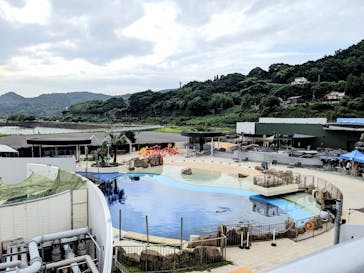 大分マリーンパレス水族館 「うみたまご」に投稿された画像（2025/8/14）