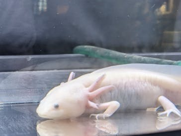 大分マリーンパレス水族館 「うみたまご」に投稿された画像（2025/8/14）