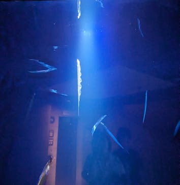 大分マリーンパレス水族館 「うみたまご」に投稿された画像（2025/8/14）