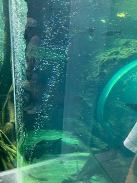 栃木県なかがわ水遊園に投稿された画像（2025/8/14）