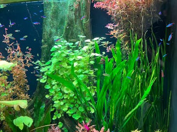 栃木県なかがわ水遊園に投稿された画像（2025/8/14）