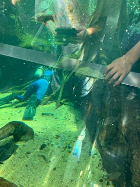 栃木県なかがわ水遊園に投稿された画像（2025/8/14）