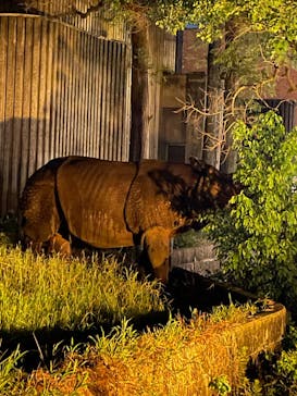 名古屋市東山動植物園に投稿された画像（2025/8/14）