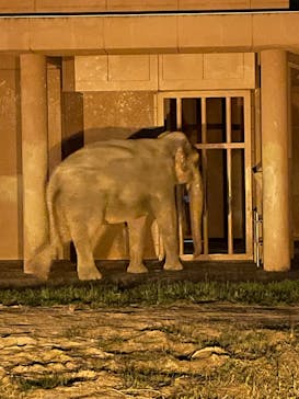 名古屋市東山動植物園に投稿された画像（2025/8/14）