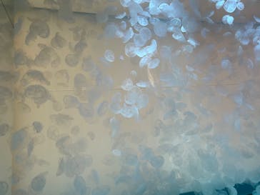 アクアワールド茨城県大洗水族館に投稿された画像（2025/8/14）