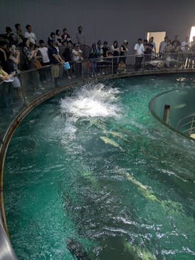 城崎マリンワールドに投稿された画像（2025/8/14）