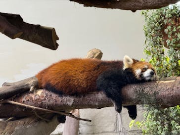 那須どうぶつ王国に投稿された画像（2025/8/14）