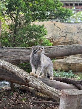 那須どうぶつ王国に投稿された画像（2025/8/14）