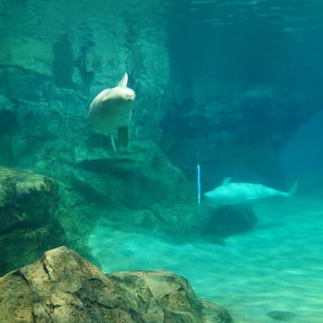 名古屋港水族館に投稿された画像（2025/8/14）