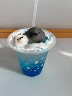 新江ノ島水族館に投稿された画像（2025/8/14）