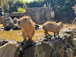 伊豆シャボテン動物公園に投稿された画像（2025/8/14）